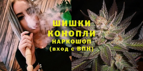 Альфа ПВП Белокуриха