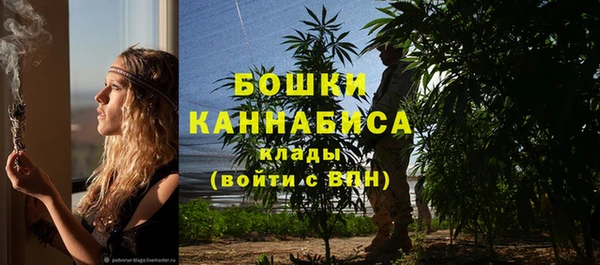 Альфа ПВП Белокуриха
