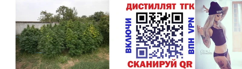 ТГК жижа  закладки  Троицк 